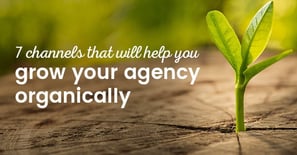 7 channels that will help you grow your agency organically