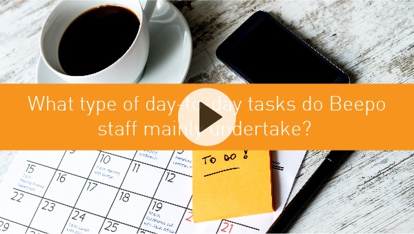What type of day-to-day tasks do Beepo staff mainly undertake?