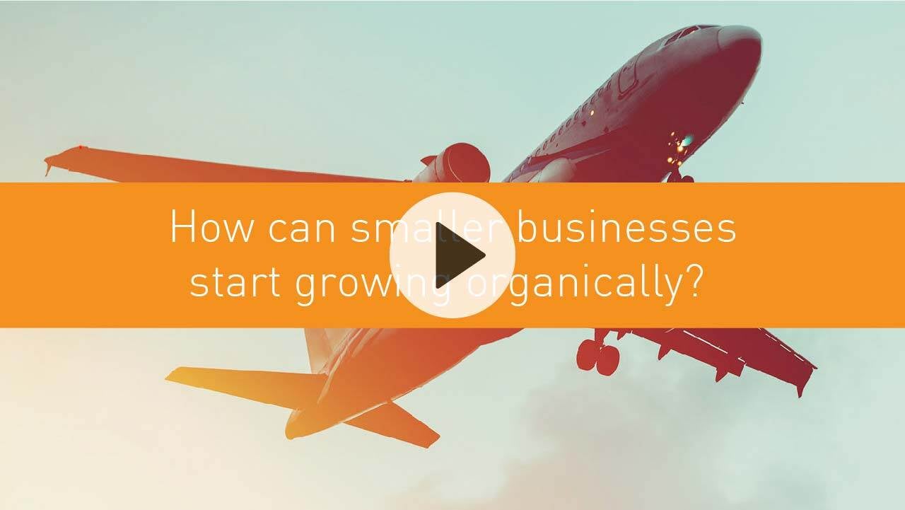 How can smaller businesses start growing organically?