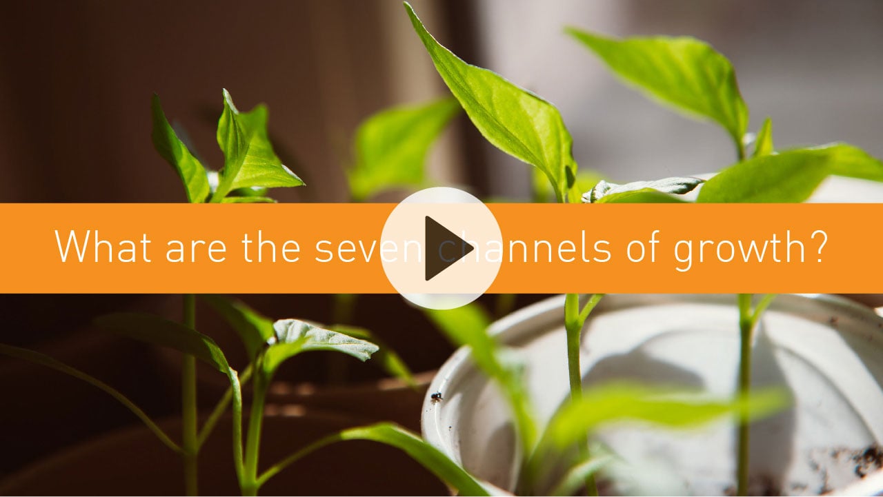 What are the seven channels of growth?