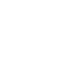 w-net-developer-v2