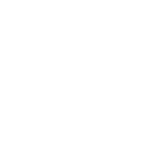 w-wordpress-developer-v1