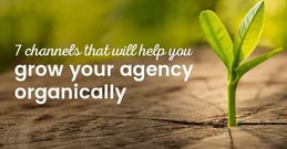 7 channels that will help you grow your agency organically