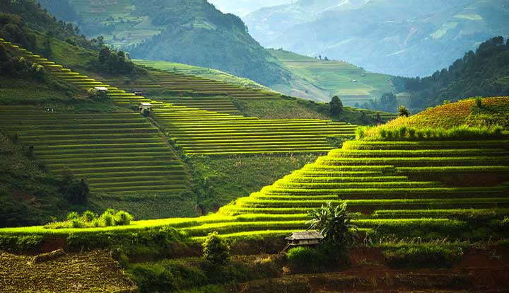 Why outsource your real estate services to the Philippines?