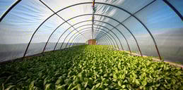 Building a sustainable business model through outsourcing
