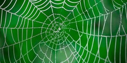 Outsourcing web development: a complete guide for your business