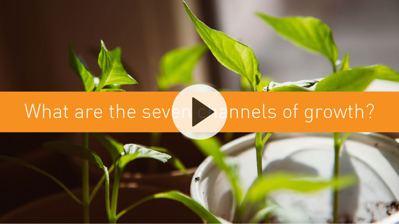 What are the seven channels of growth? 